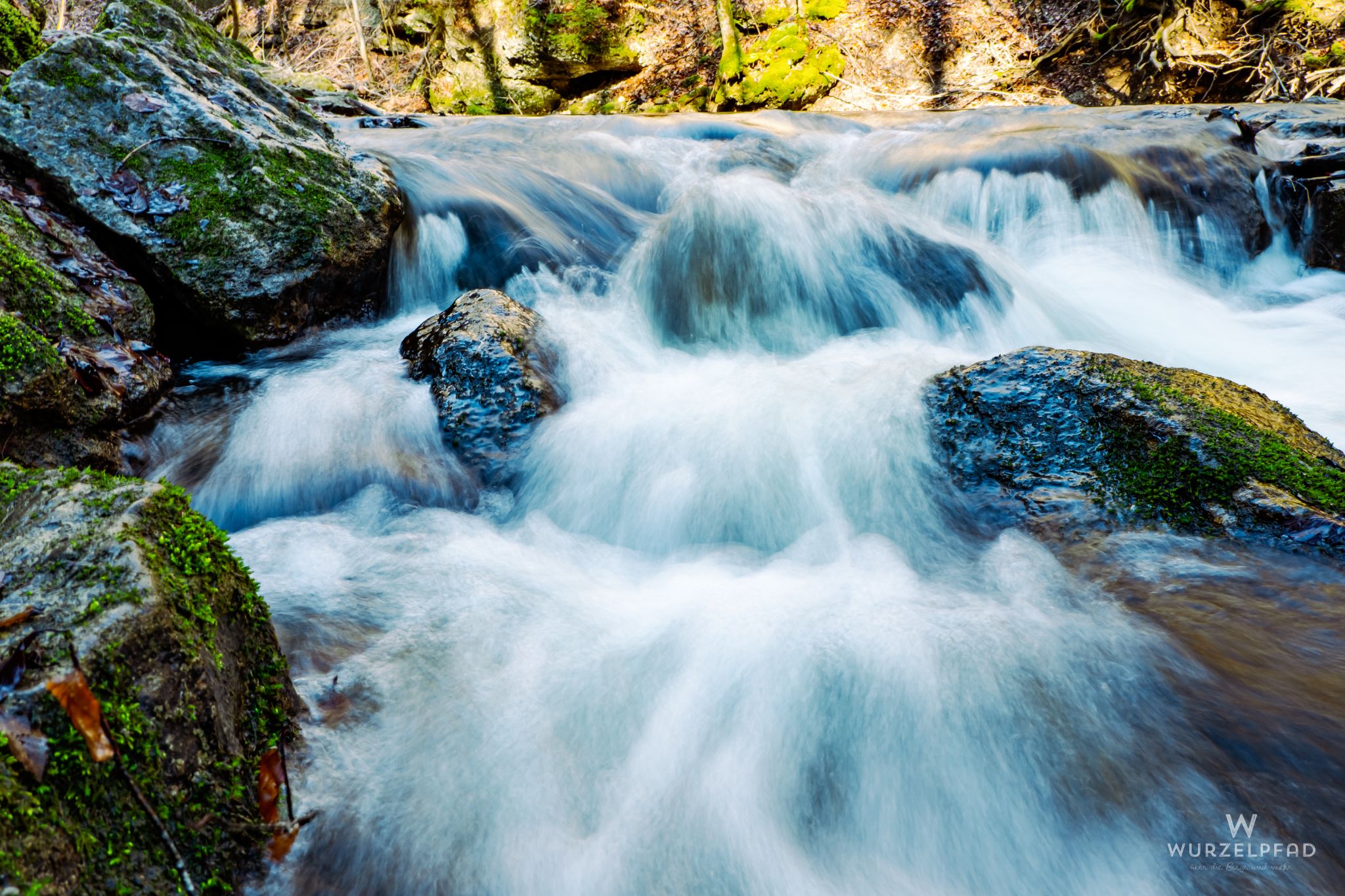 Wilder Maisinger Bach